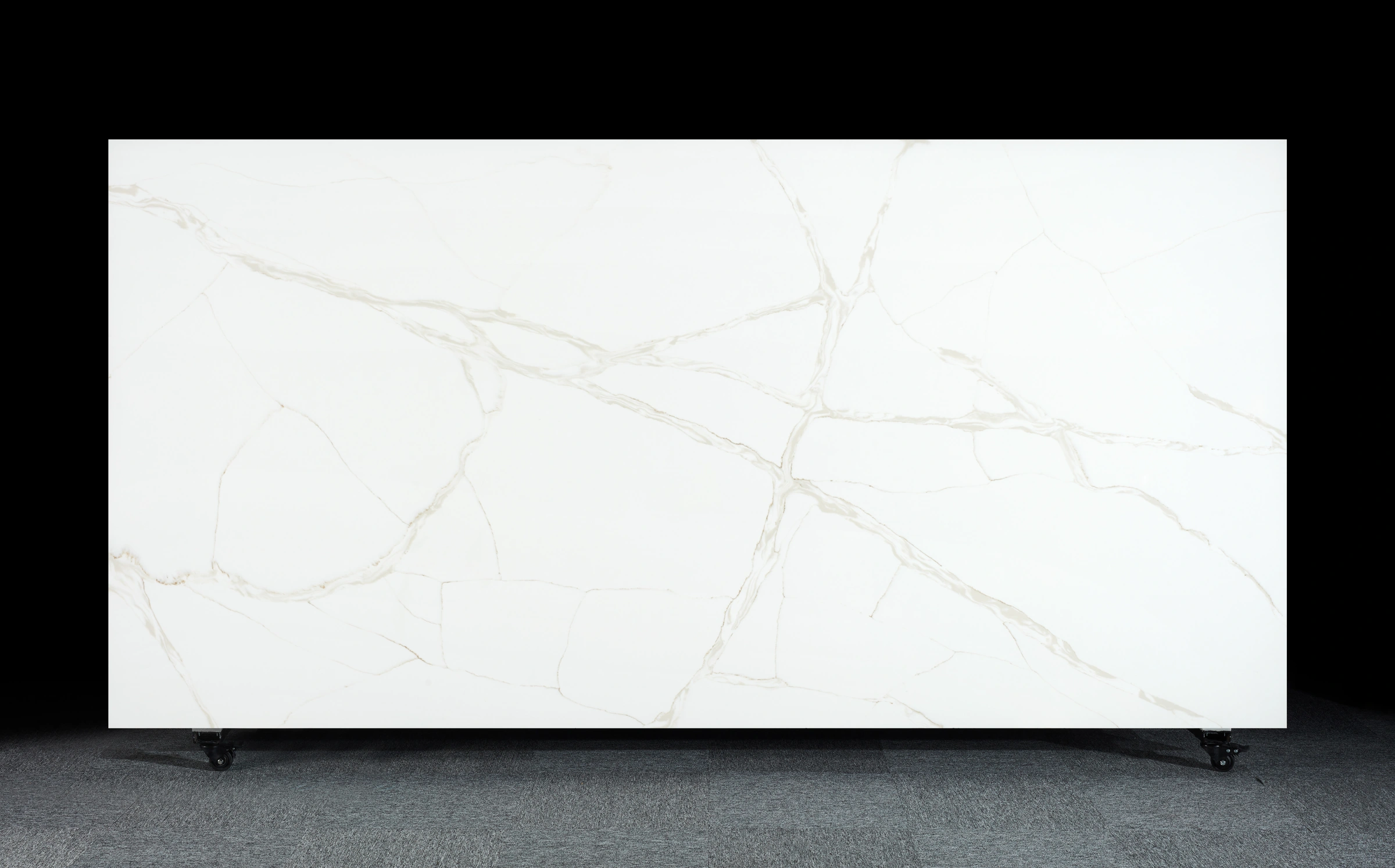 T037 Calacatta Psyche — Surface view