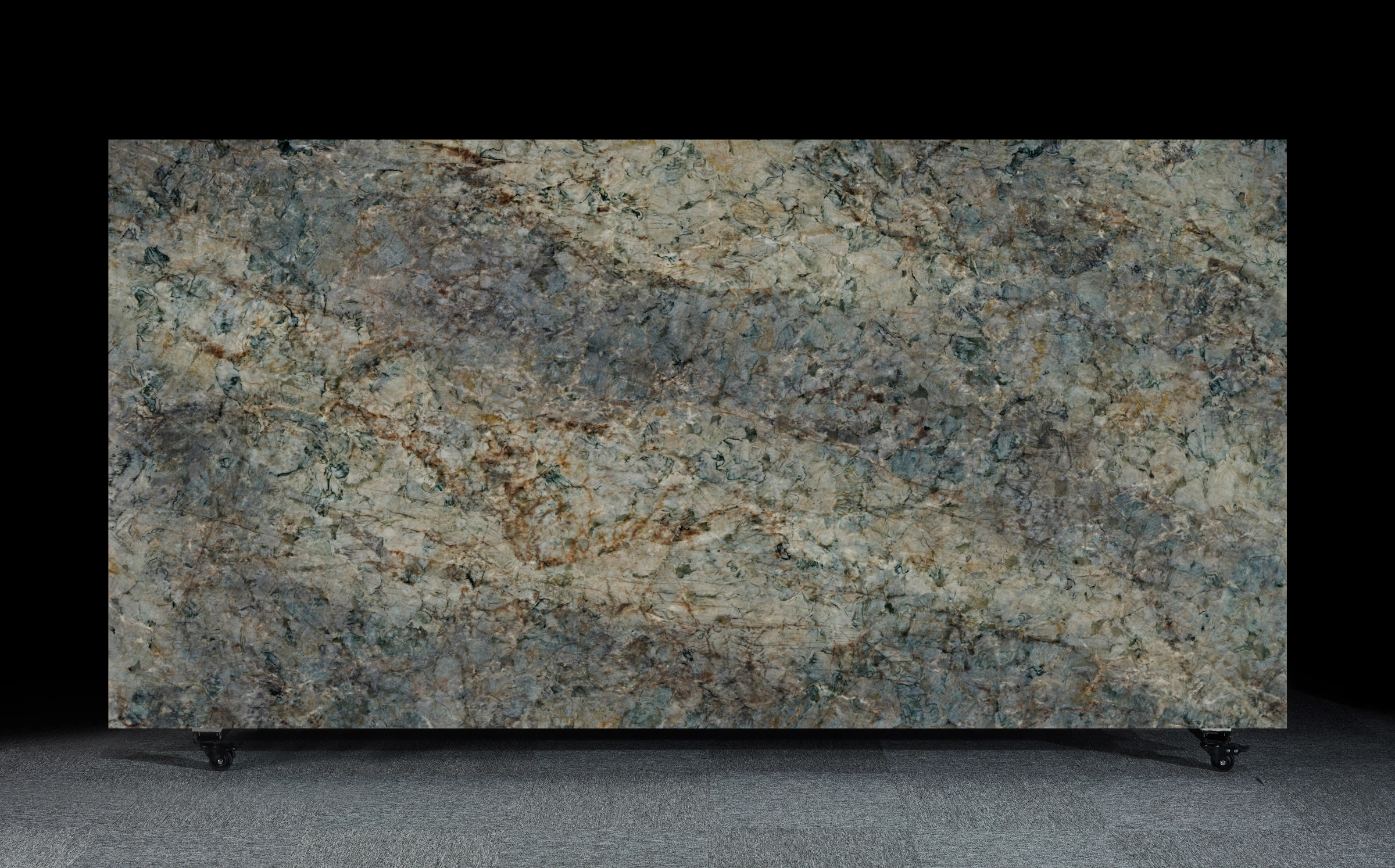 TD05 Amazon — Surface view
